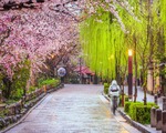 2027 için Mısır, Japonya ve Alpler'de üç yeni macera tatili