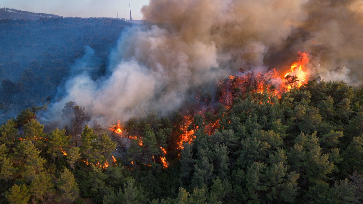 5 şehirde alevlerle mücadele sürüyor