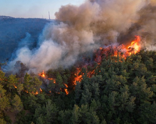 5 şehirde alevlerle mücadele sürüyor