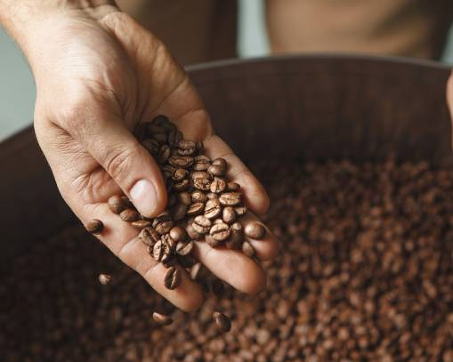 Kahve fiyatları neden yarım yüzyılın en yüksek seviyelerine yaklaştı?