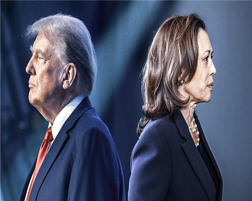 Trump mı Harris mi? Son Anketlere Göre Oylar Eşit