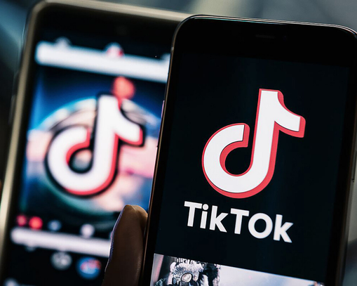 Popüler sanatçılardan yılın kelimelerine: TikTok 2024