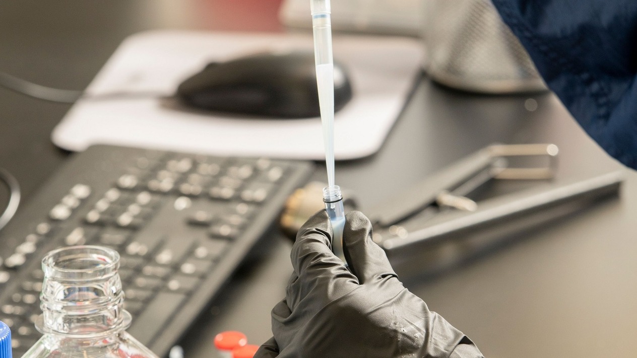 ABD’de kuş gribi teşviki: Moderna’ya 590 milyar dolar