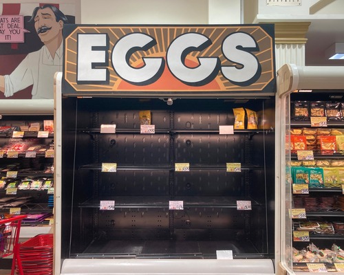 ABD kuş gribi salgını nedeniyle yumurta fiyatları uçtu: Yıllık artış yüzde 53