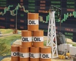 ABD'ye şeffaflık baskısı: Venezuela'nın 13 milyar dolarlık petrol geliri nerede?