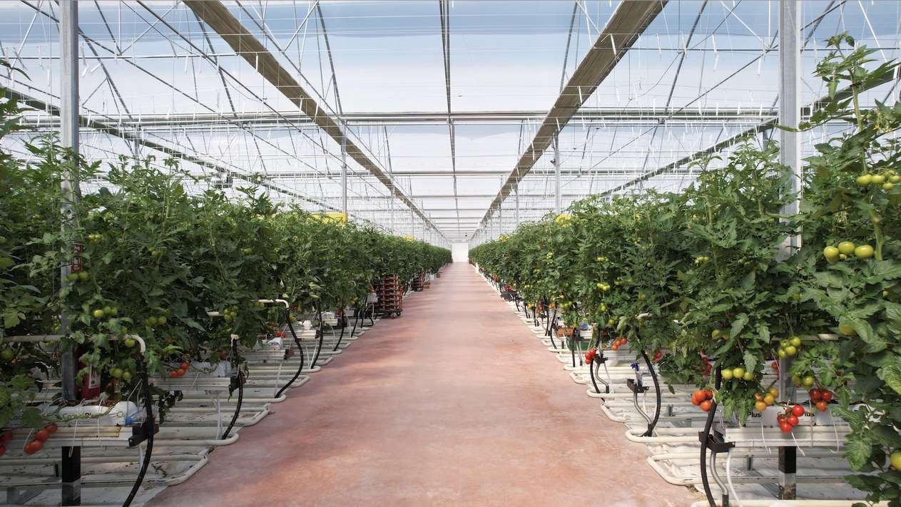 Altun Gıda, Karya Doğal Tarım Üretim ve Seracılık’ı satın aldı