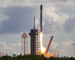 Beklenen halka arz öncesi SpaceX ile xAI birleşmeyi değerlendiriyor