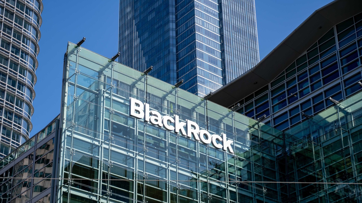 BlackRock Türk hisselerine dönüş yaptı