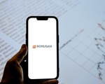 Borusan Holding’den Borusan Boru’da hisse satışı