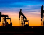 Brent petrol 100 doların altında: Petrol fiyatları barış görüşmeleriyle düşüşe geçti 