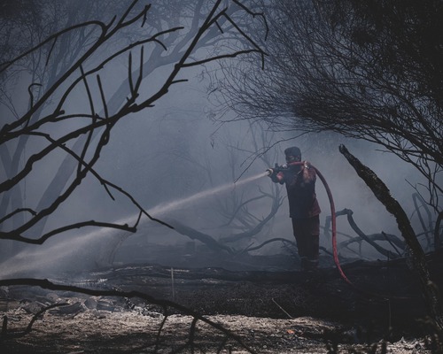 Bursa’da yangınlar kontrol altına alındı: Son bir ayda binlerce hektar alan kül oldu