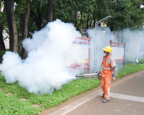 Çin'de yeni salgın alarmı: Chikungunya virüsü hakkında bilmeniz gerekenler