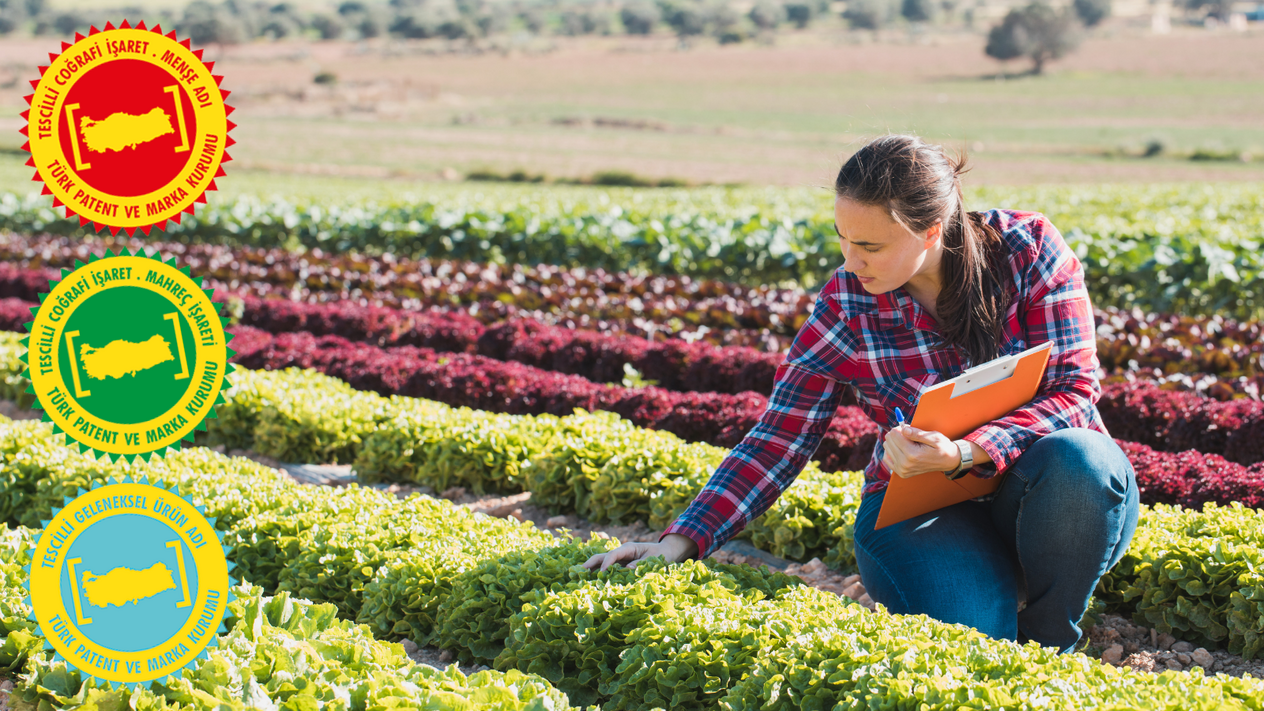 Coğrafi işaret olmadan gelecek olamıyor