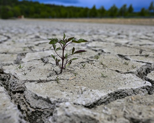 Dünya Bankası'ndan Türkiye'ye 600 milyon dolarlık kaynak