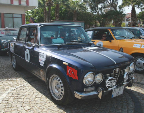 Ege mavisi zeytin yeşili yarış