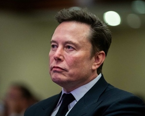 Elon Musk: Afd Almanya’yı kurtarabilecek tek parti