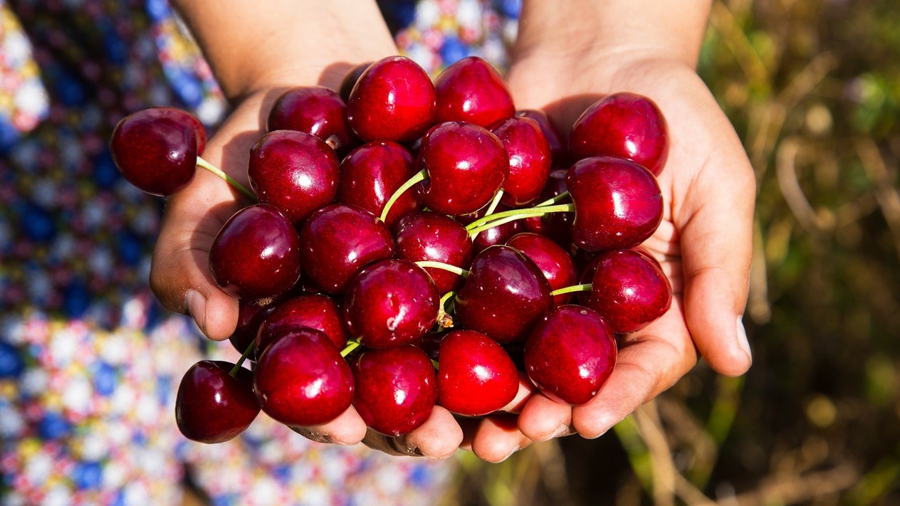 Enflasyon beklentileri üç kesimde de geriledi