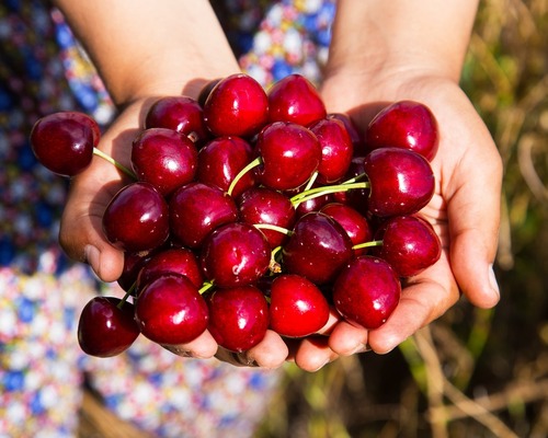 Enflasyon beklentileri üç kesimde de geriledi