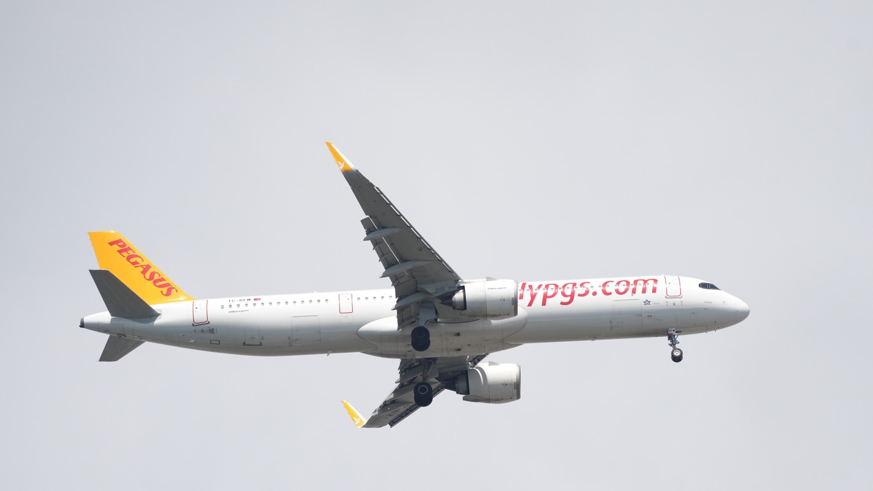 Esas Holding’den Pegasus payları için SPK hamlesi