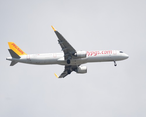 Esas Holding’den Pegasus payları için SPK hamlesi