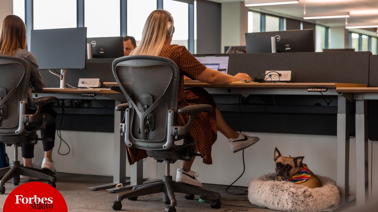 Evcil hayvanlar için açılan kapılar, iş dünyasında bambaşka bir dönüşümü beraberinde getiriyor