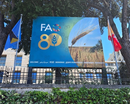 FAO: Küresel gıda fiyatları 2025'te yüzde 4,3 arttı