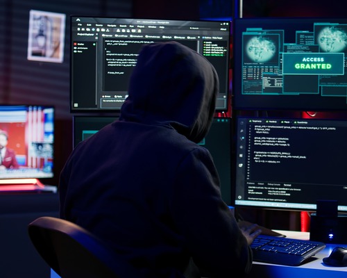 Fidye yazılımı 1 milyar dolarlık sektöre dönüştü