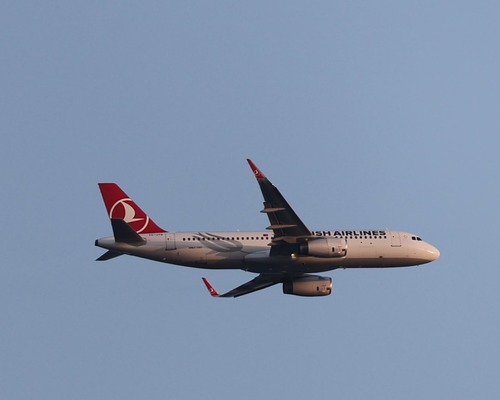 Fitch: THY’nin Air Europa hamlesi kredi notu için olumlu