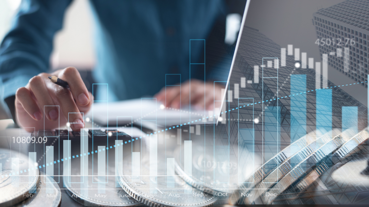 Fon raporu: 2024'ün getiri şampiyonları