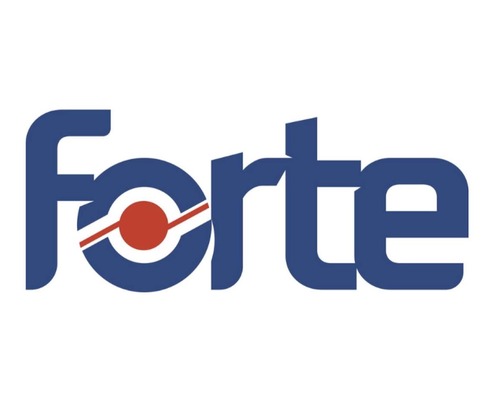 Forte Teknoloji 1,8 milyar TL kâr açıkladı