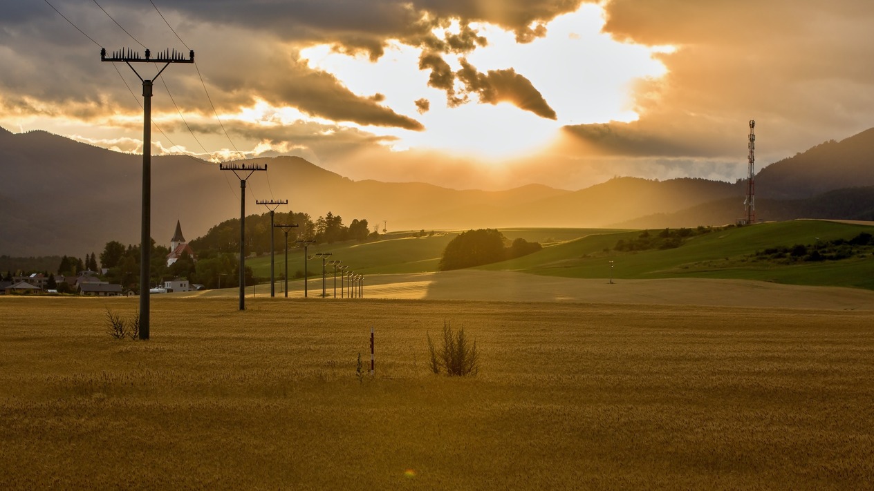 Gıda, enerji ve su güvenliği için tek bir milli strateji
