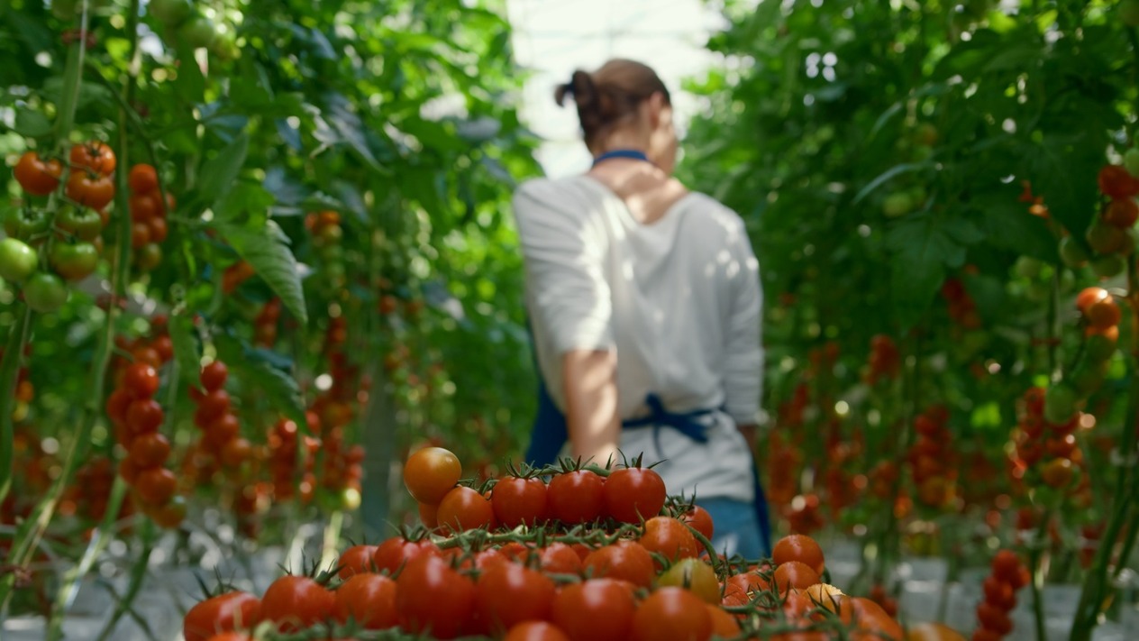Girişimcilik ve tarımı birleştiren yeni proje hayata geçiyor