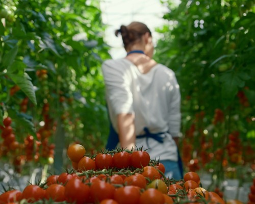Girişimcilik ve tarımı birleştiren yeni proje hayata geçiyor