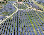 Hedeflerden uygulamaya: Türkiye'nin enerji geçişinde küresel buluşma
