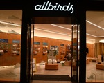 Hisseleri yüzde 800 fırladı: Ayakkabı üreticisi Allbirds yapay zeka şirketi oluyor