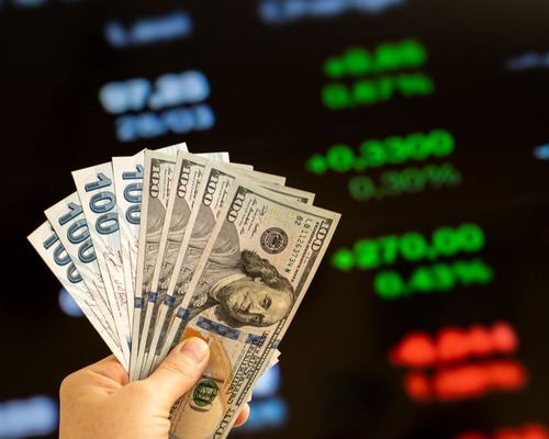 HSBC, dolar/TL tahminini yukarı çekti