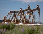 Hürmüz'de koridor beklentisi petrol fiyatlarını düşürdü