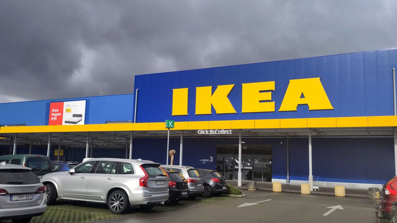 IKEA’dan Baltık ülkelerinde orman hamlesi