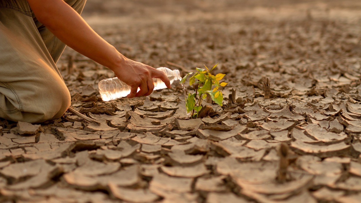 İklim krizi bir sonraki finansal çöküşe nasıl yol açabilir?