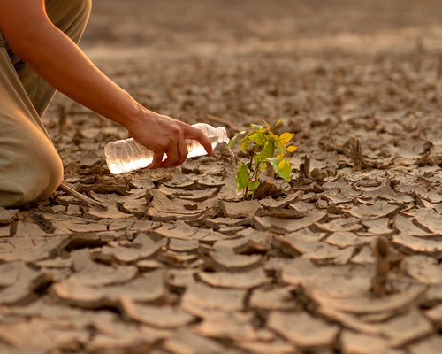 İklim krizi bir sonraki finansal çöküşe nasıl yol açabilir?