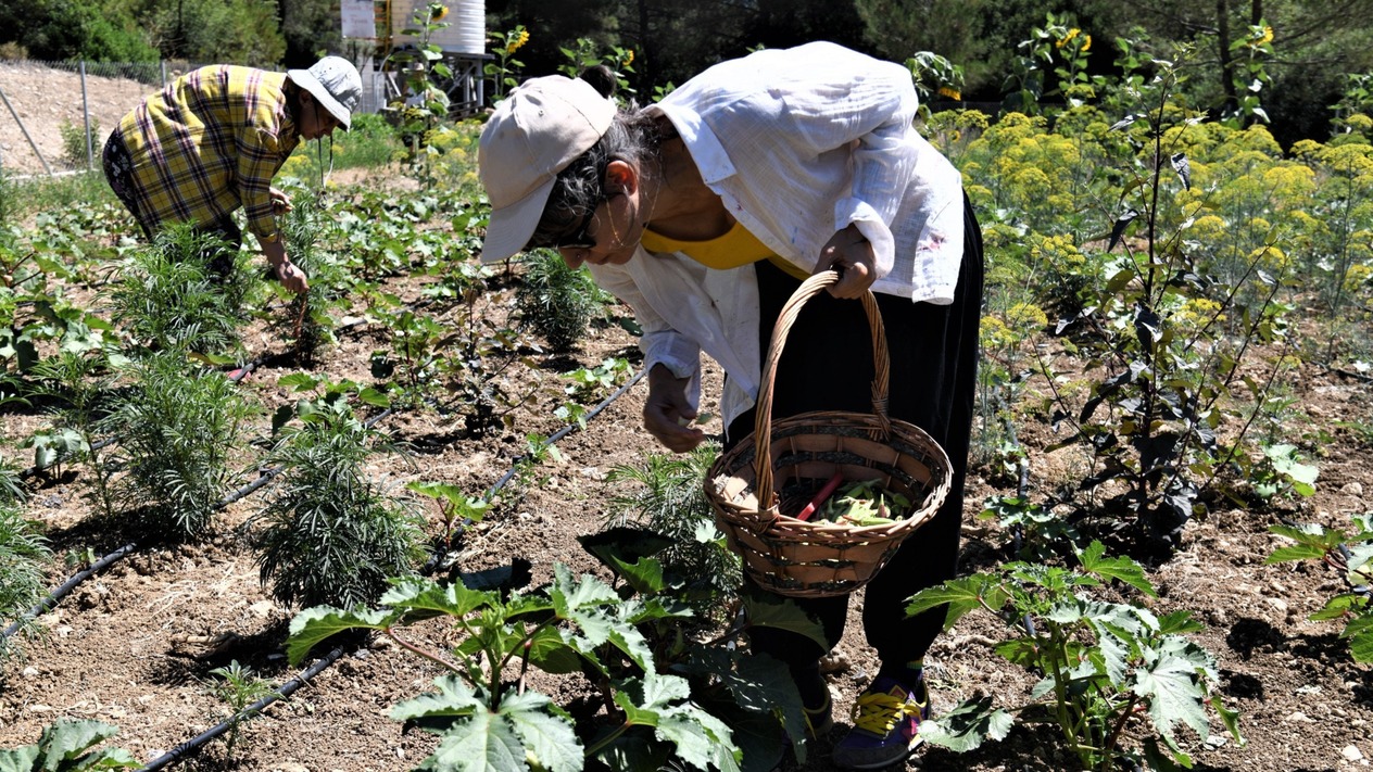Coğrafi işaretlerin değerini arttırmak için ne yapılmalı?