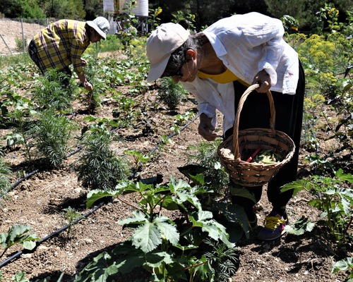 Coğrafi işaretlerin değerini arttırmak için ne yapılmalı?