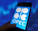 Irak'tan OPEC'e kota uyarısı: Üretim hakkı artmazsa üyelik iptal olabilir