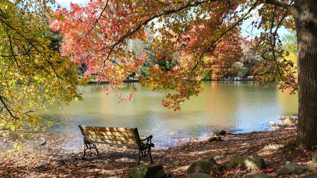 İstanbul’da sonbaharın en büyüleyici durakları