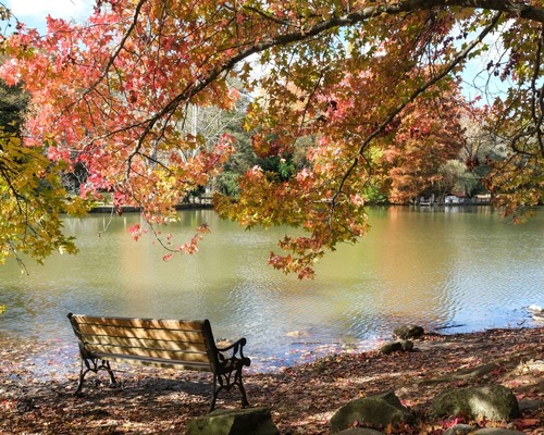 İstanbul’da sonbaharın en büyüleyici durakları