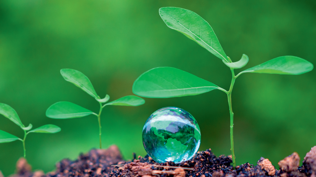 Karbonsuz geleceğin şifreleri