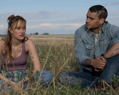 Kitaptan beyazperdeye: Colleen Hoover kendi sinematik evrenini kuruyor