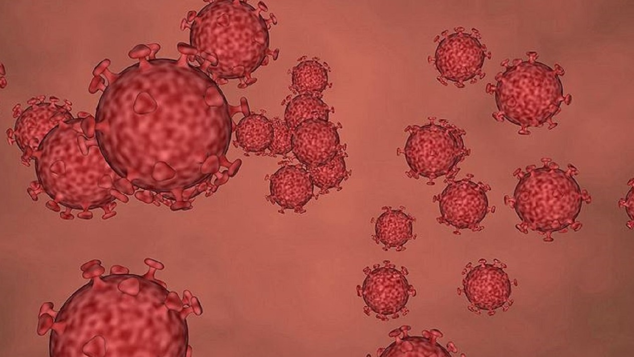Kruvaziyer gemisinde Hantavirüs salgını: Üç kişi hayatını kaybetti