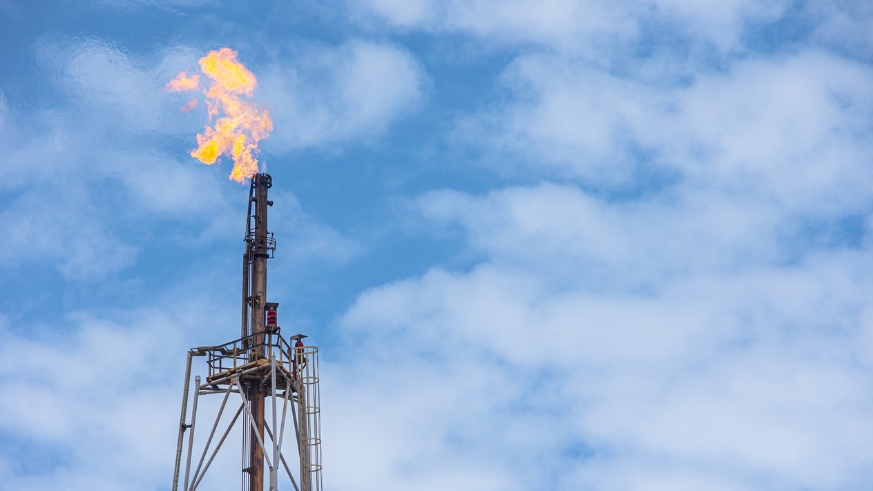 Küresel gıda devleri metan emisyonlarını azaltmakta zorlanıyor