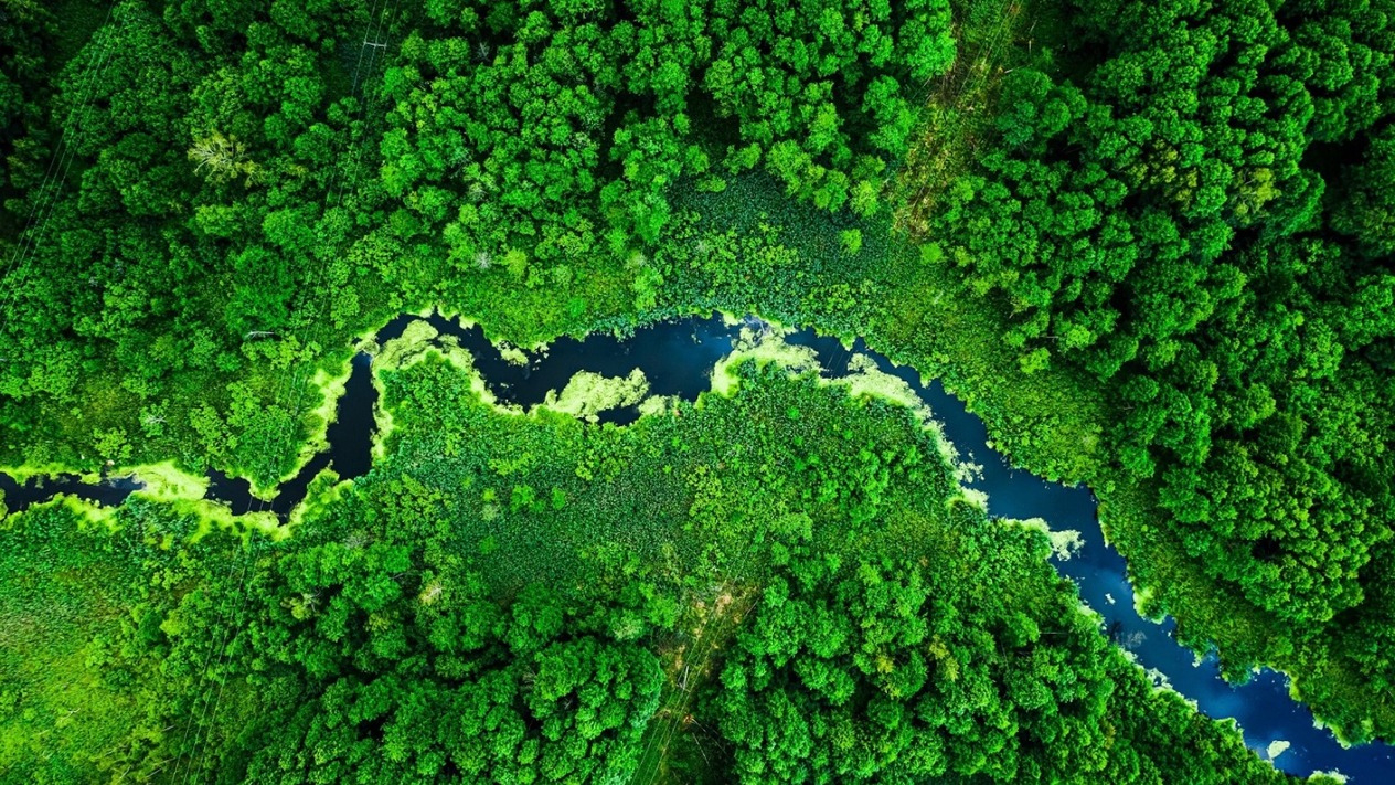 L’Oréal’in 200 milyon euro’luk fonları Türk sivil toplum kuruluşlarını bekliyor